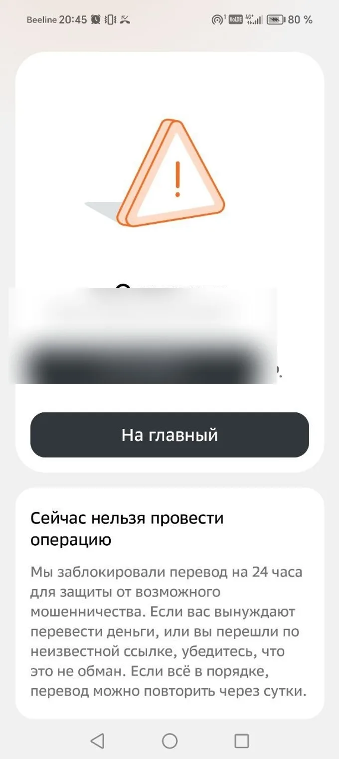 Скрин блокировки перевода 1